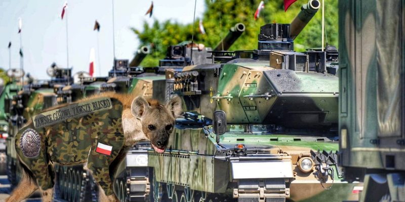 За кулисами планов. Скрытые цели развития Войска Польского