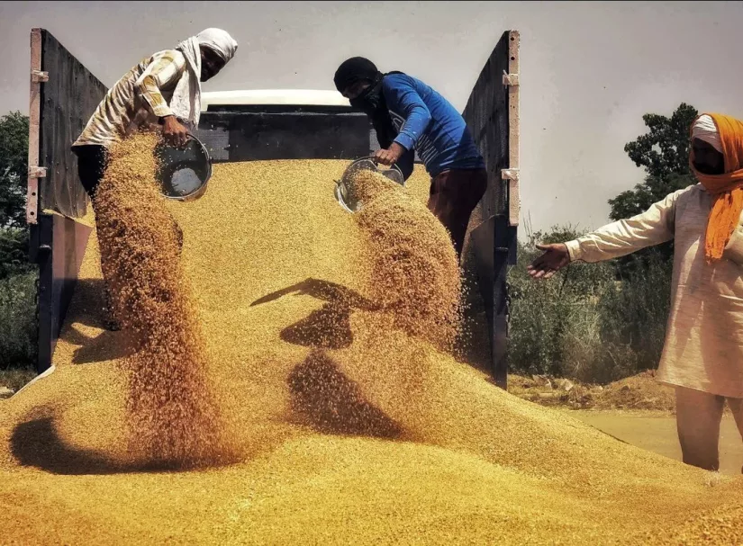 Шах и мат: Россия и Катар готовят новую зерновую сделку, только зерно будет российское, а Запад снова не пригласили