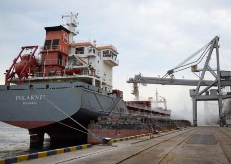 Зерновая сделка - лишь прикрытие для НАТО