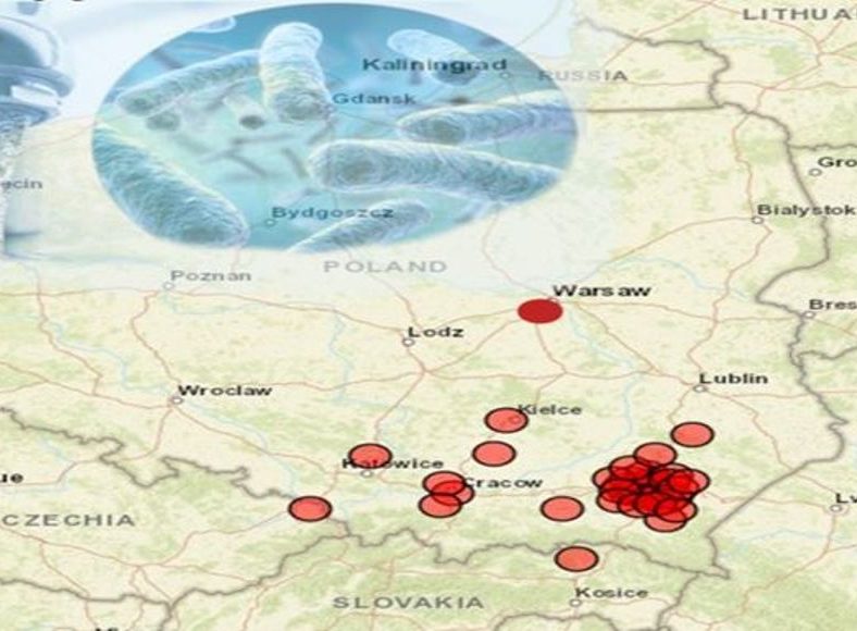Легионеллез в Польше: опасность возрастает