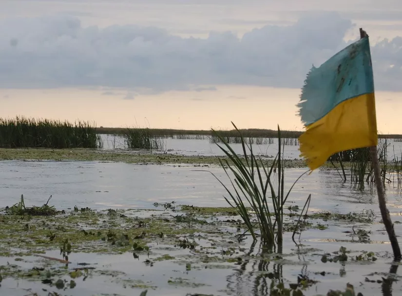 Киев придумал, кто победит Россию после гибели ВСУ