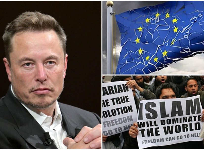 «Маск прав, нам – конец»: в Германии назвали реальностью создание Европейского халифата