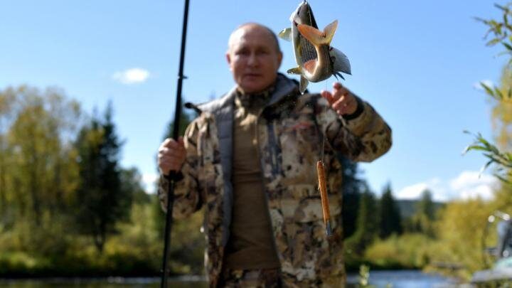 Из магазинов Британии исчезнет треска. Путин объявил Лондону «рыбную войну»?