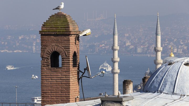 Турция дала пощёчину Британии. Киев остался без "подарка"