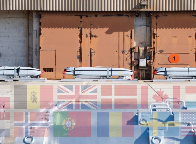 Зачем страны НАТО создали авиационную и ракетную коалицию