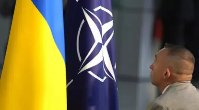 «Решат не США». В стране НАТО выступили с жестким предупреждением для Киева