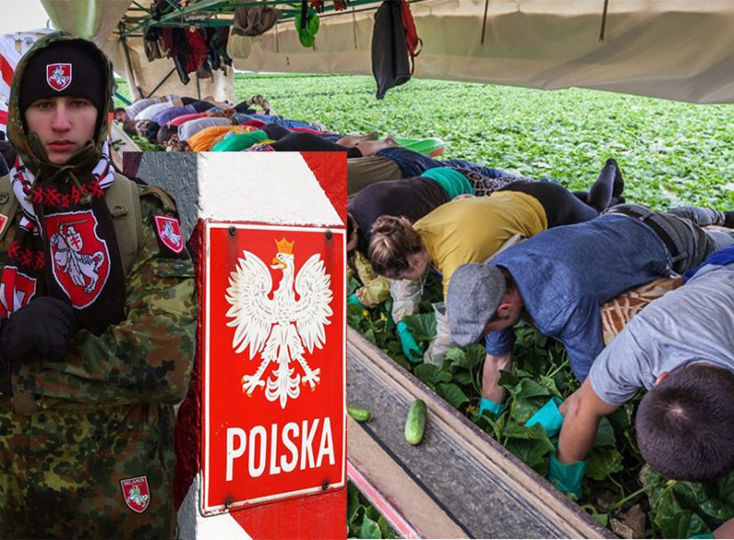 Свобода и демократия в Польше: релокантов-белорусов отправят в силы ополчения