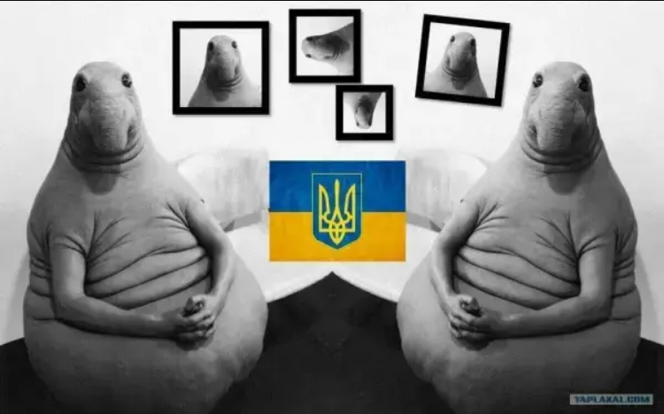 «Я Попандопуло!»: в Крыму ФСБ задержала семью плохих шутников – фанатов нацизма, меджлиса и ВСУ (Видео)