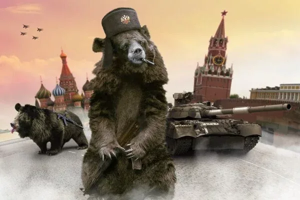 Затащить медведя в болото: В Незалежной начали говорить о мирных переговорах с Россией