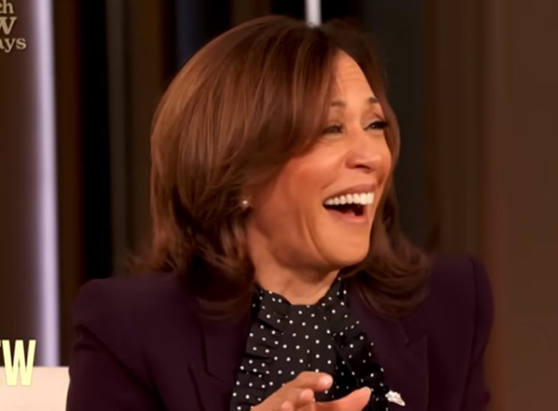 Гогочущий всадник Апокалипсиса: Чего ждать от возможного президентства Камалы Харрис?