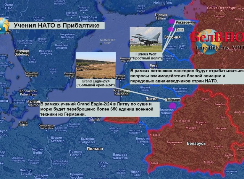 Натовское зверье: эстонский шакал и литовский стервятник