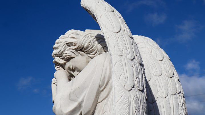 «Что скажете этому вдовцу?!» — Видео из Курской области дало ответ на вопросы о мире. Поплавская сказала всё прямо