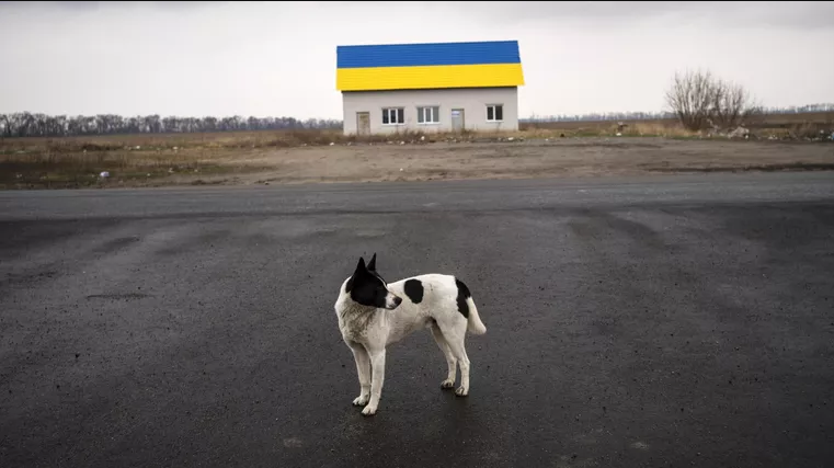 «Куда он делся?»: в Киеве заявили о пропаже лучшего «друга» Украины