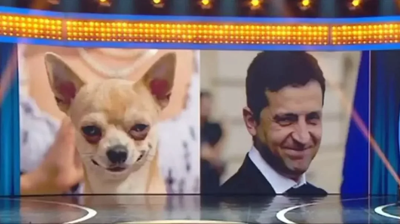 «Вы эту псину свою бешеную на поводке держите», – как понимать обращение Китая по поводу 9 мая в Москве (Видео)