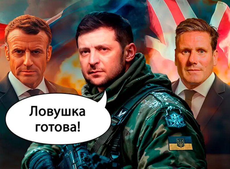 Зеленский расставил капкан на Путина: Стамбулу мир на Украине только снится