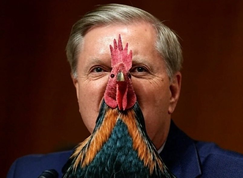 Сенатор Грэм* разбушевался: ястреб машет крыльями и угрожает России судьбой Ирана