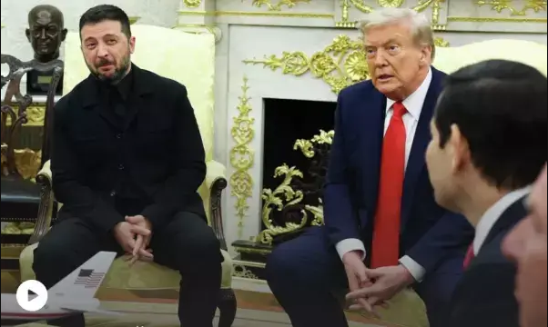 Зеленский назвал условия проведения выборов на Украине. Трамп высмеял: «Мне нравится идея»