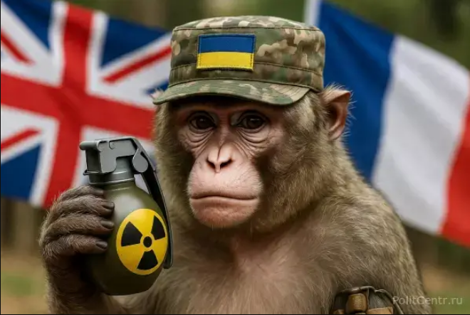 Военкор Александр Сладков призывает власти: «Главное — не опоздать». Это прямое обращение к руководству страны