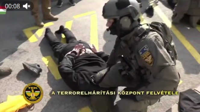 У Зеленского горе: в арестованных в Венгрии броневиках Ощадбанка перевозили не только деньги и золото